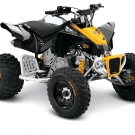 Für den Nachwuchs: Can-Am DS 90 X