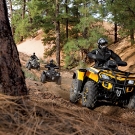 Can-Am Outlander-Familie: Die 400er gibt´s jetzt auch als Zweisitzer; die 500er und 650er bleiben auch 2012 im Programm