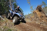Jag den Wolf 2012: Eine Yamaha Grizzly wie jene von Adrian Nedelcu ist heute zur Seltenheit inmitten der Armee aus Can-Ams im ATV- Rennsport geworden. Das herausragendste ATV-Rennen Europas wurde allerdings bisher immer von Can-Ams gewonnen