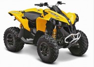 Can-Am Model-Range 2013: Renegade 500 / 800R