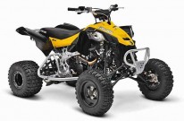 Can-Am Model-Range 2013: DS 450