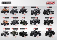 Dinli Prospekt 2013: Fahrzeug Übersicht