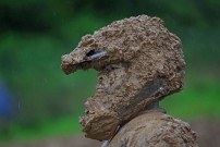 6. GCC Lauf 2013 in Schefflenz: Durchblick gefragt