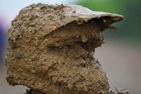 6. GCC Lauf 2013 in Schefflenz: Quad-Rennsport mit eingeschränkter Sicht