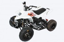 Apex Vertrieb für Deutschland: Die Apex MXR-R 100 ist seit Ende Januar 2015 bei Axel´s Boxenstop erhältlich