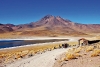Chili4Tours: lässt mit dem ATV auf den Spuren der Dakar die atemberaubende Naturlandschaft Chiles erleben