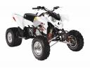 Polaris Outlaw: ab 2008 in drei Varianten mit 450, 510 und 525 Kubik zum Rennen, Surfen und Durchkommen