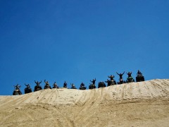 20100800imo321 20100800imo321