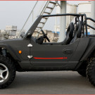 Quadix Buggy in neuen Farben: Anthrazit matt, Silber metallic und einem noch namenlosen, laut Importeur aber „völlig geilen“ Farbton