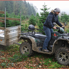 Christbaumzucht mit Quads: Bei Fischer Agrar in Großrust werden neben schwerem Gerät auch ATVs, Quads und Schafe für die Aufzucht von Weihnachtsbäumen eingesetzt