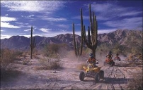 California by ATV: Desert Tour